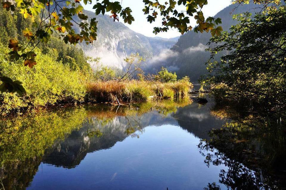 Greenheart Aussee Obersdorf 外观 照片