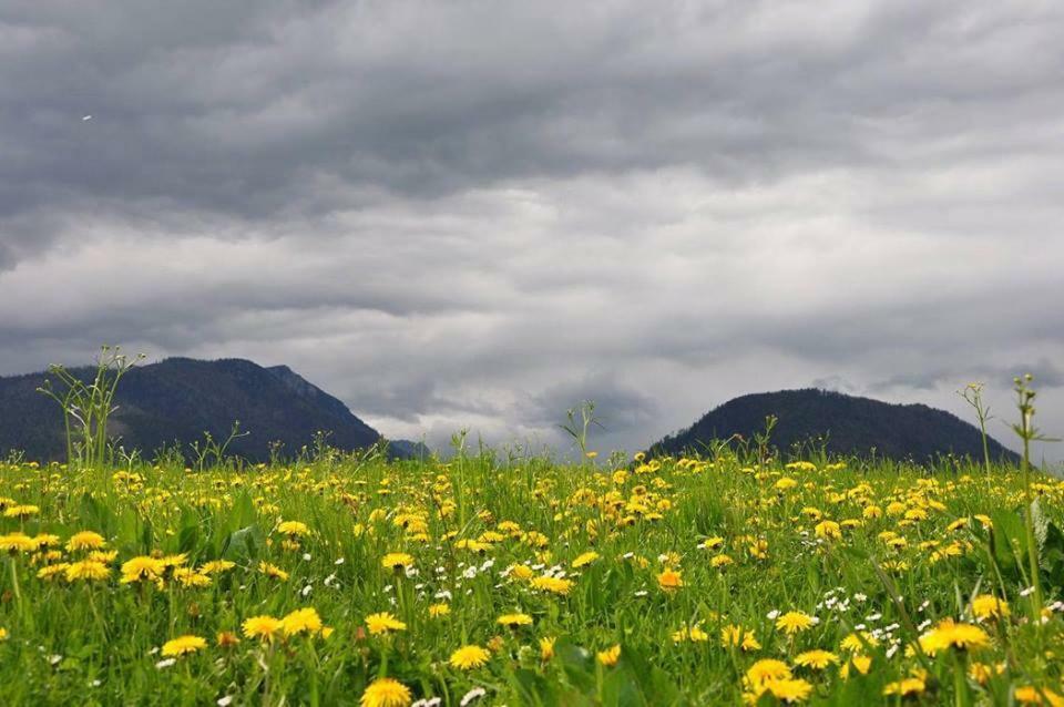 Greenheart Aussee Obersdorf 外观 照片
