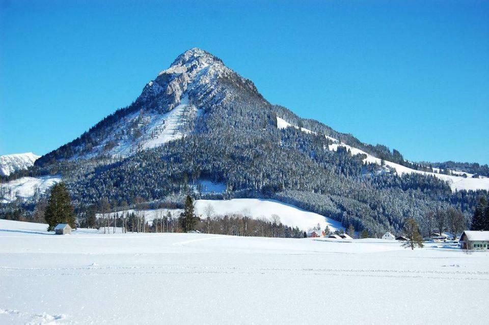 Greenheart Aussee Obersdorf 外观 照片